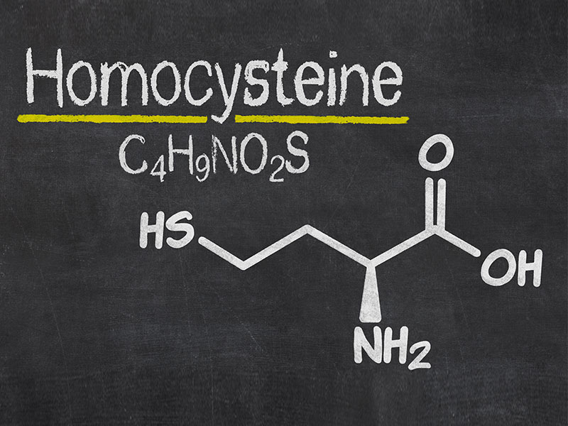 ホモシステイン酸